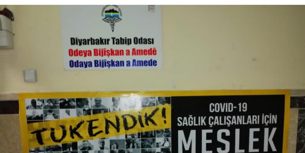 şebnem korur fincancı