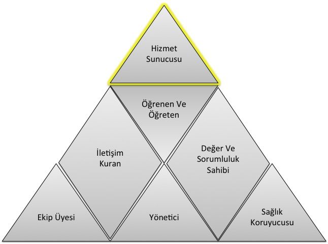 hekimlik