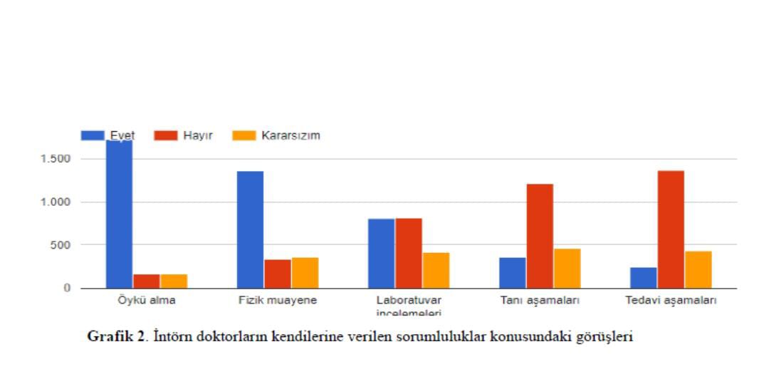 intörnlük eğitimi